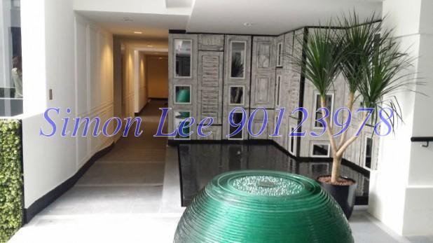 1919 (D9), Apartment #63268412